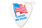 D'ANDREA USA351 United We Stand, kostka gitarowa medium