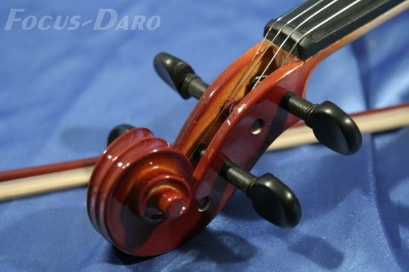 EVER PLAY skrzypce EV-615 :: rozmiar 1/8