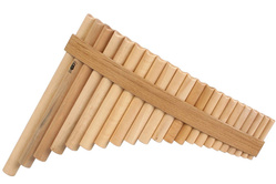 GIBONUS FP22 Fletnia Pana Student 22