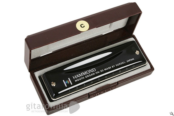 SUZUKI Hammond D