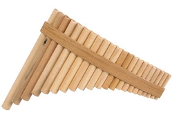 GIBONUS FP22 Fletnia Pana Student 22