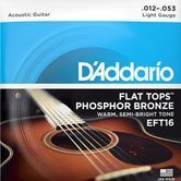 D'ADDARIO EFT16 Flat Tops struny AK 12-53