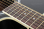 Harley Benton HBD200-12BK gitara elektroakustyczna