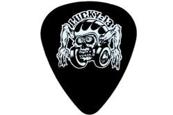 Dunlop kostka gitarowa Lucky 13 Helmet Skull - .73 mm
