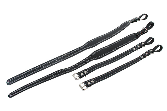 Akmuz pasy do akordeonu 80-120 basów