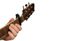 D'ADDARIO PWCP01 kapodaster do gitary AK/EL