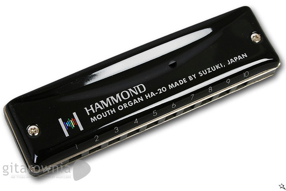 SUZUKI Hammond D