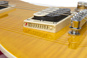 EPIPHONE Les Paul Special-II Performance Pack Slash AFD