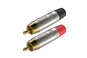 Roxtone RF2CS-NG wtyk cincz 2szt.