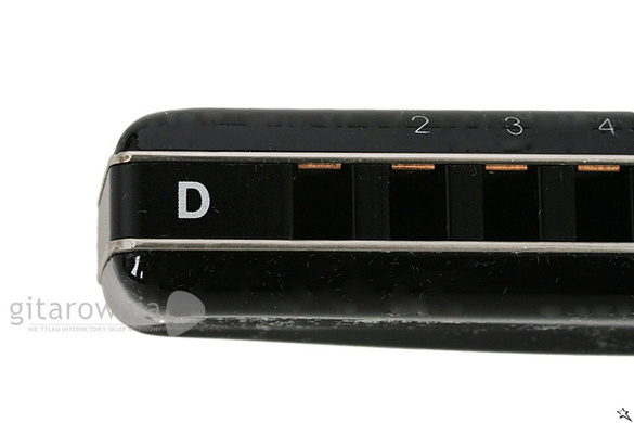 SUZUKI Hammond D