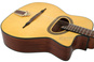 RICHWOOD RM-140-NT gitara akustyczna gypsy