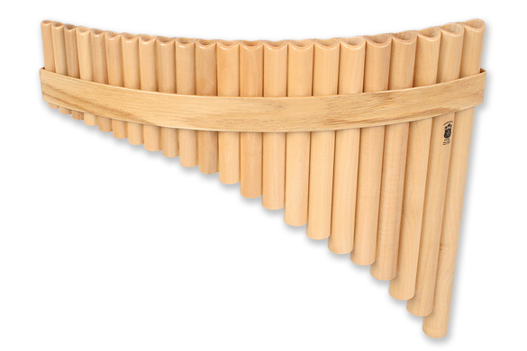 GIBONUS FP22 Fletnia Pana Student 22 | Odwrócona