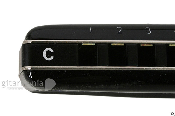 SUZUKI Hammond D