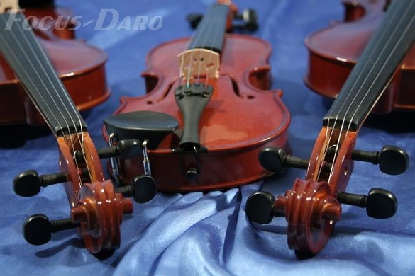 EVER PLAY skrzypce EV-615 :: rozmiar 1/8