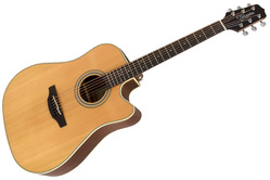 Takamine GD20CE-NS gitara elektroakustyczna