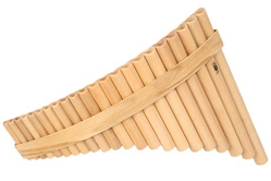 GIBONUS FP22 Fletnia Pana Student 22 | Odwrócona