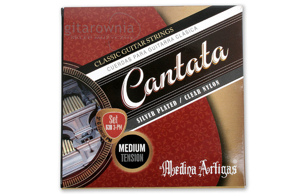 Medina Artigas 630/3PM  MT