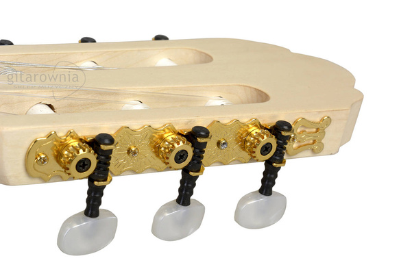 Gewa Pro Natura Gold gitara klasyczna 4/4