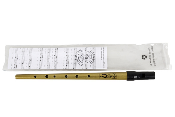 CLARKE TINWHISTLE flażolet D | Gold | z pokrowcem