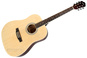COUNTRYMAN CA-100 NT gitara akustyczna