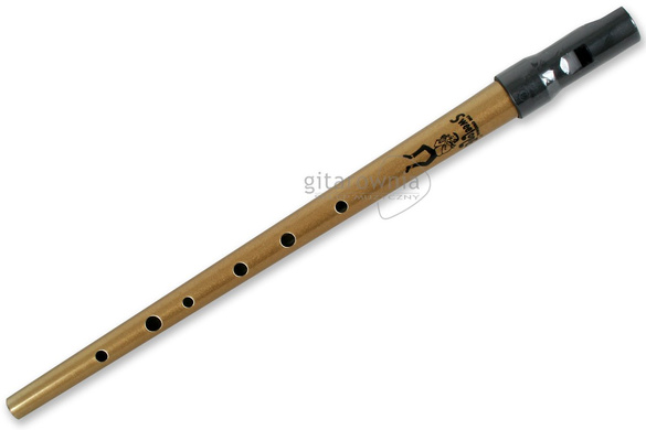 CLARKE TINWHISTLE flażolet D | Gold | z pokrowcem