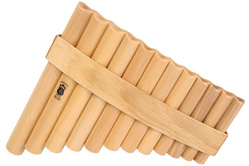 GIBONUS FP12 Fletnia Pana Student 12