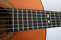 MEDINA ARTIGAS 810 Johann Sebastian