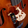 D'Addario PW-CT-17CBK tuner eclipse cello bas