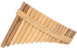 GIBONUS FP18 Fletnia Pana Student 18