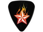 GROVER ALLMAN PIC7157 Flame Star