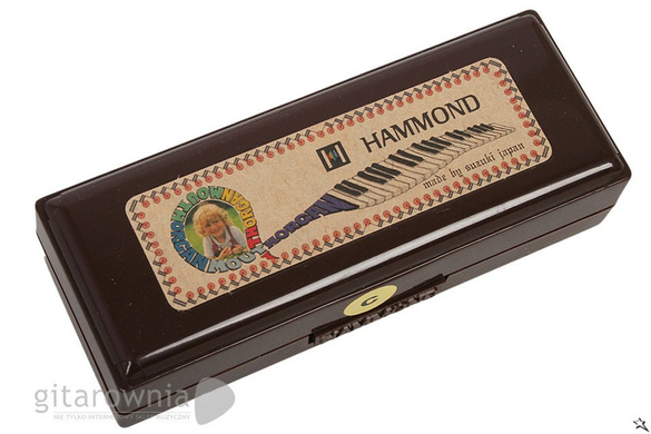 SUZUKI Hammond D