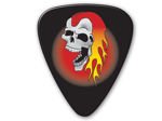 GROVER ALLMAN PIC1022 Flaming Skull