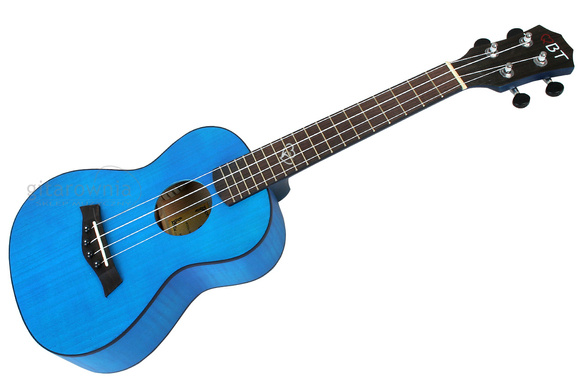 QBT U23Q BLUE ukulele koncertowe 