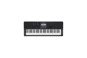 Casio CT-X800 keyboard