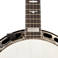 D'Addario PW-CT-16 micro-tuner do banjo